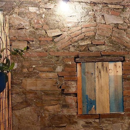 Happy Lucca Casa Vacanze Ngoại thất bức ảnh